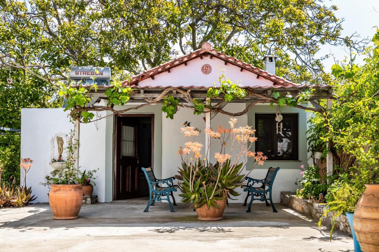 Yianna Cottage Studios Skopelos Town Ngoại thất bức ảnh